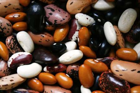 nourishing-diabetic-foods-beans
