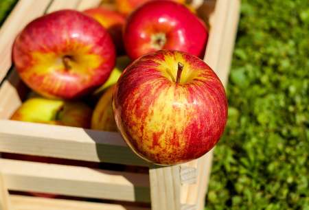 diabetic-fruits-apples