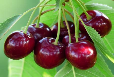 diabetic-fruits-cherries